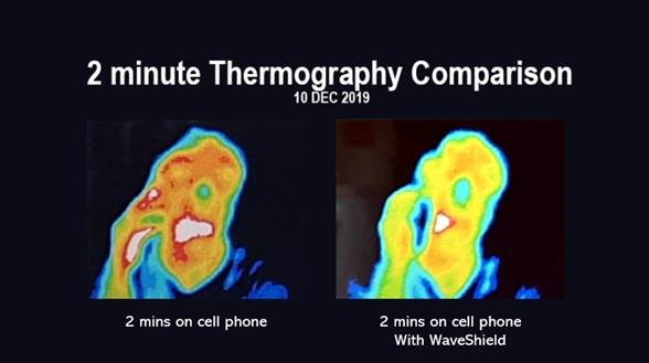 Thermography comparison